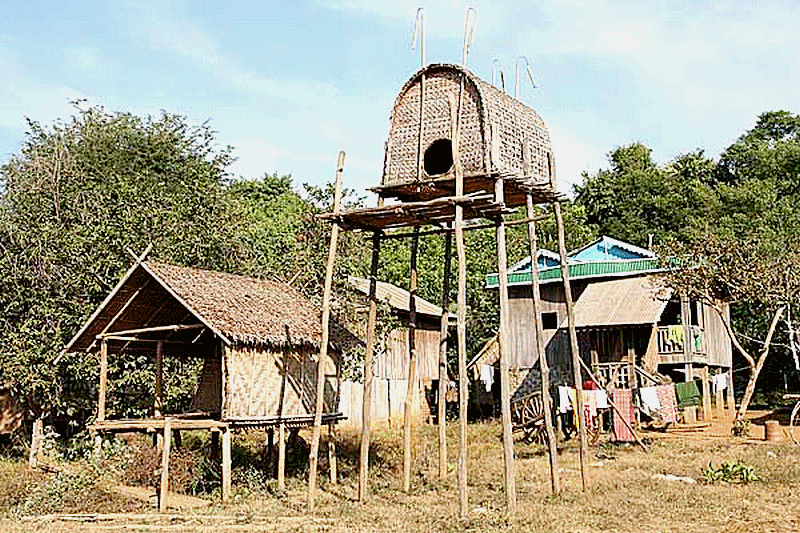 architecture_bambou_bamboo_construction_building_moso_guyane_guyana